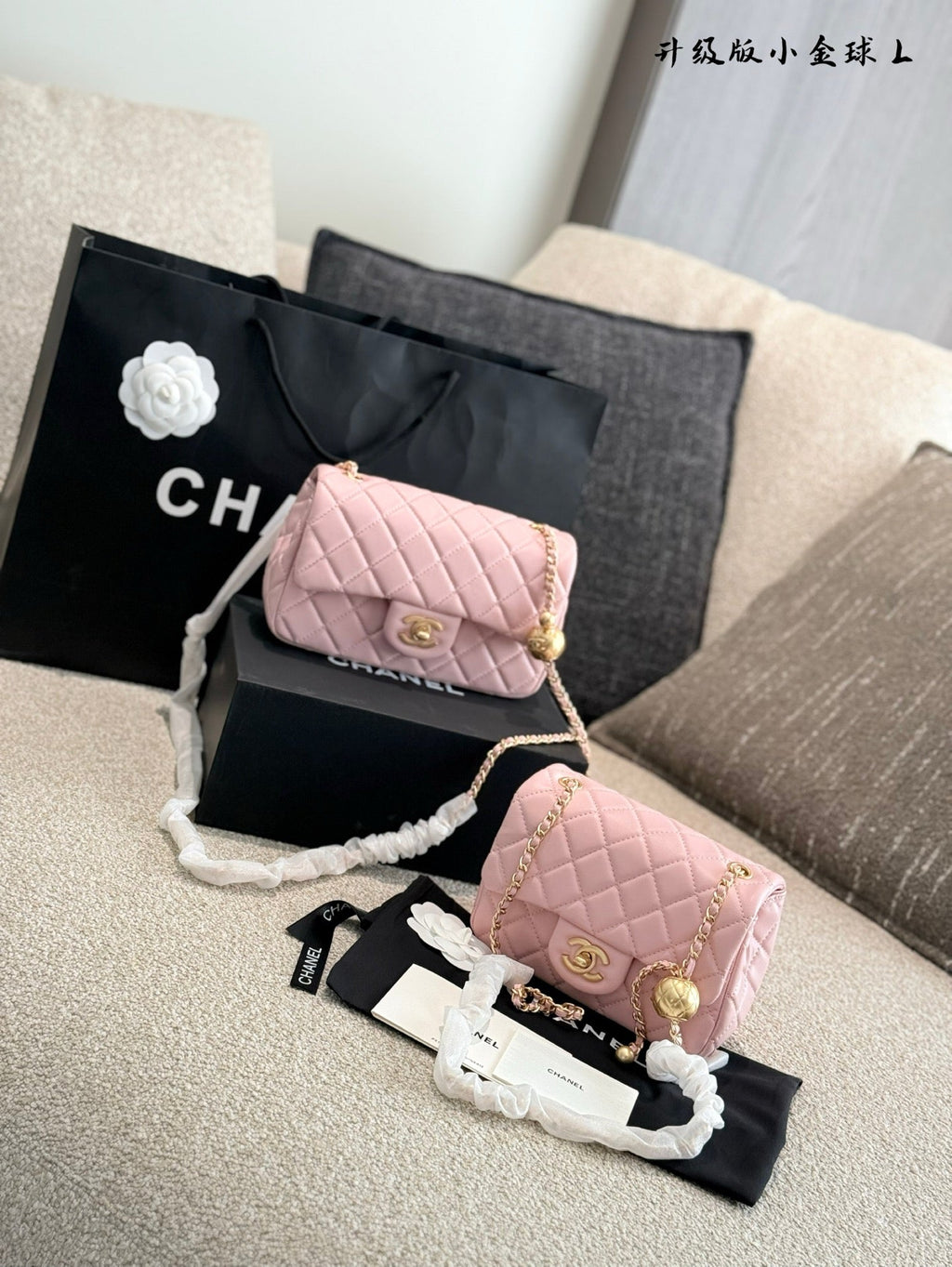 Designer Gold Leather Shoulder Bag for Women 17cm CEM243