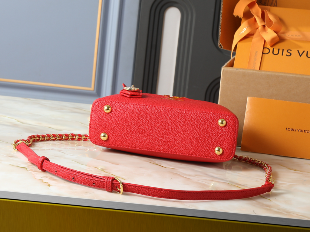 Designer Shoulder Bag for Women 22cm LEM410