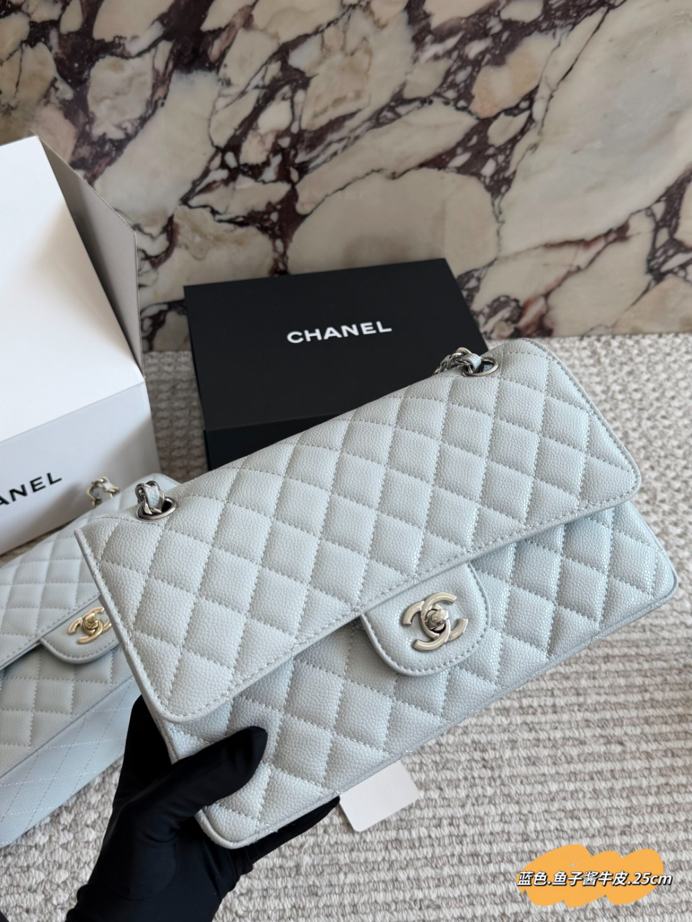 Blue Bag for Women CEM301