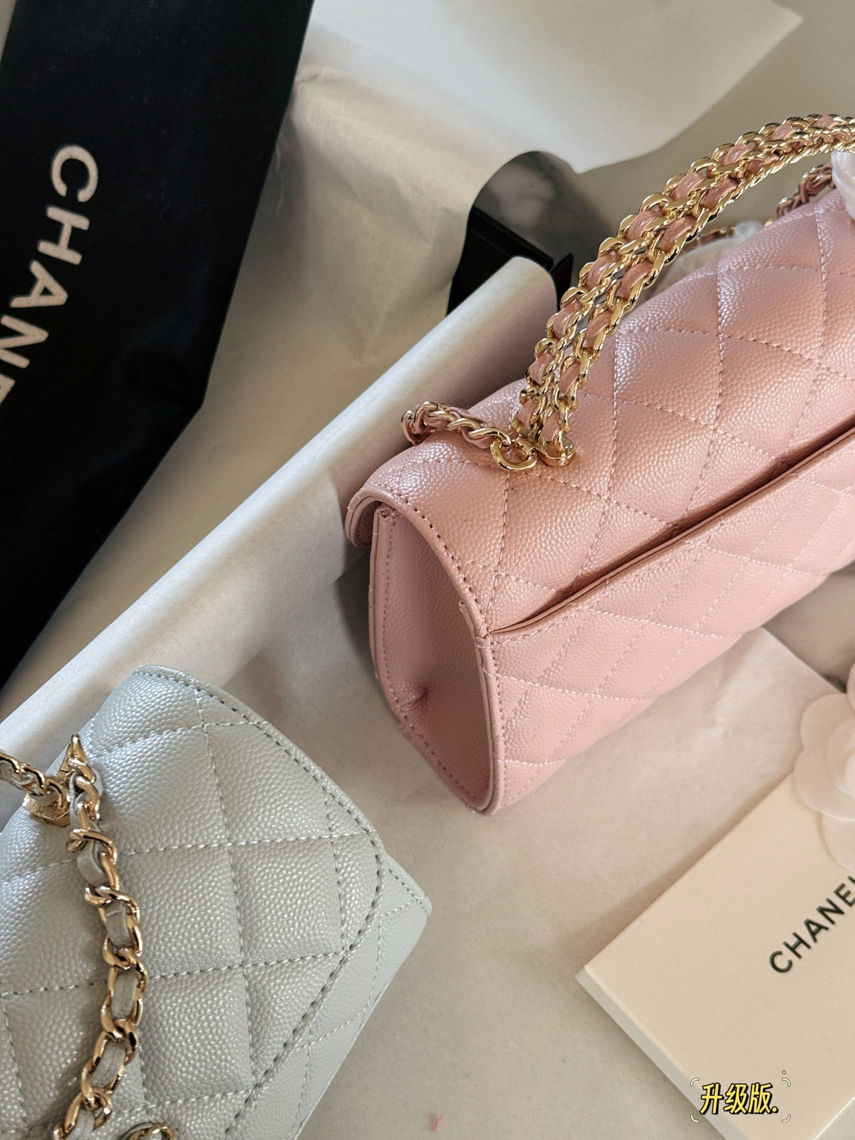 Fashion Bag for Women CEM142