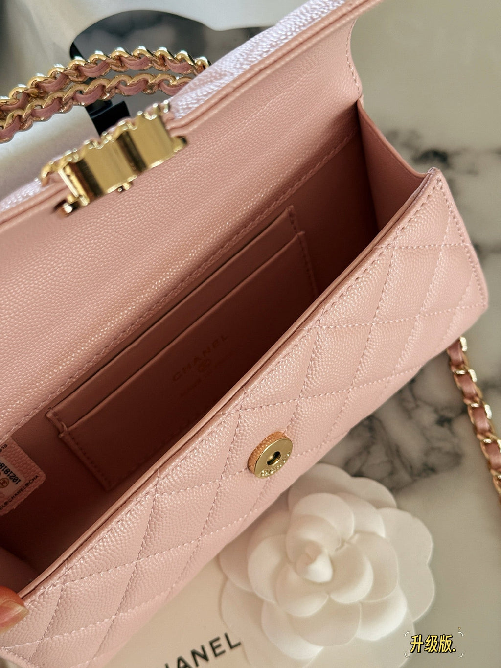 Fashion Bag for Women CEM142