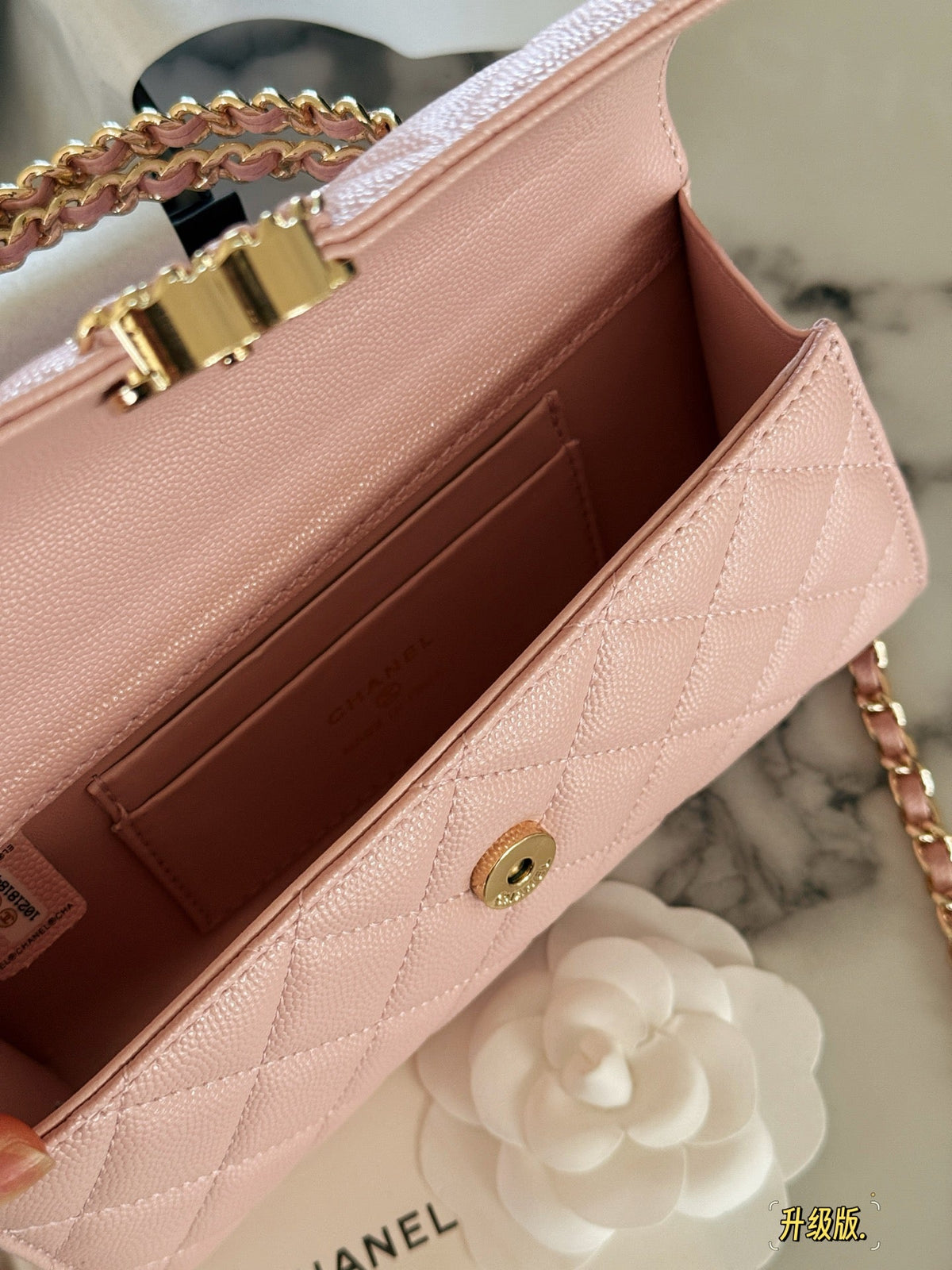 Fashion Bag for Women CEM142