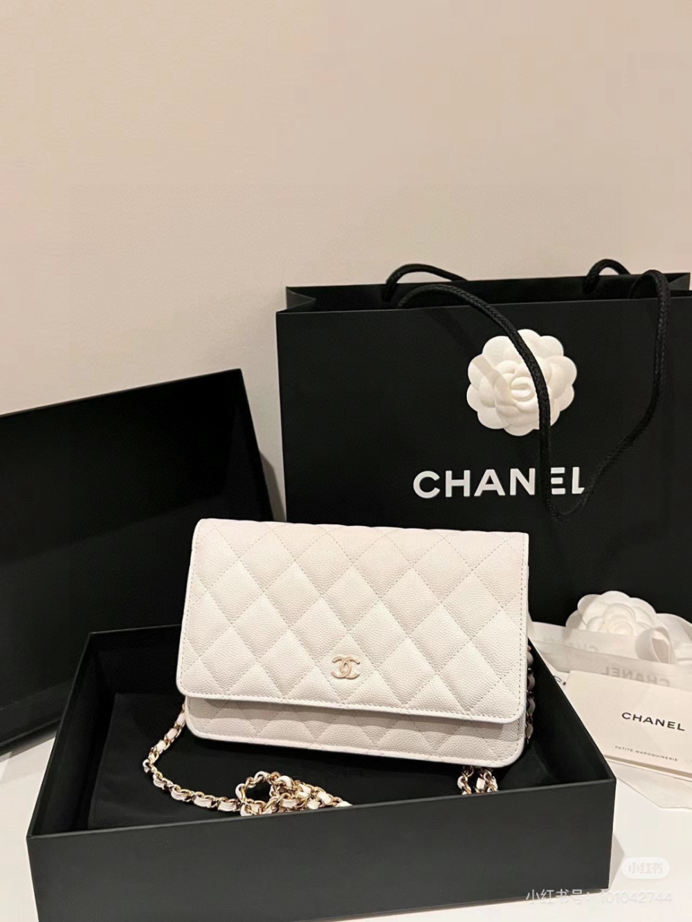 Black/White Handbag for Women 20*13cm CEM288