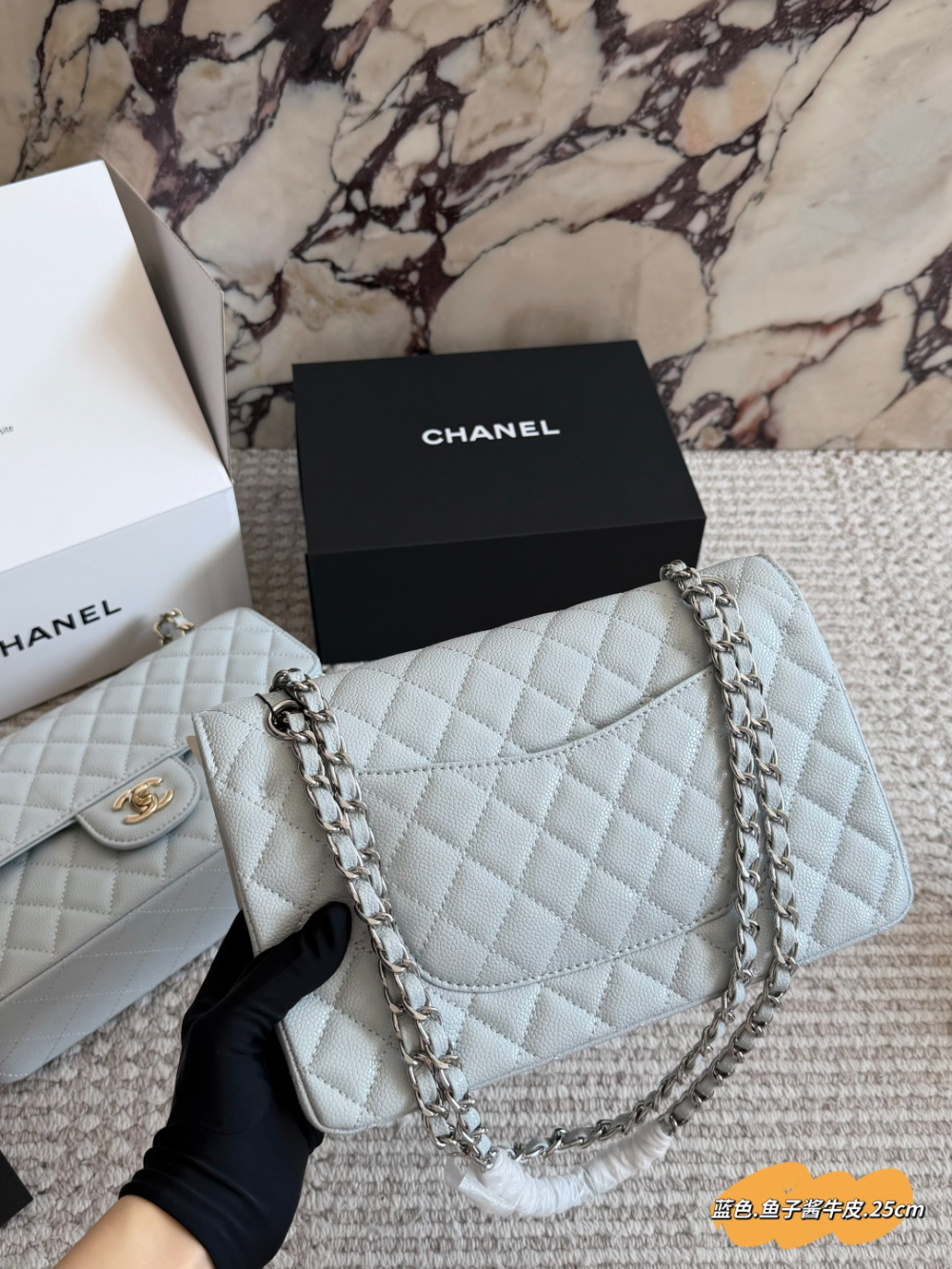 Blue Bag for Women CEM301