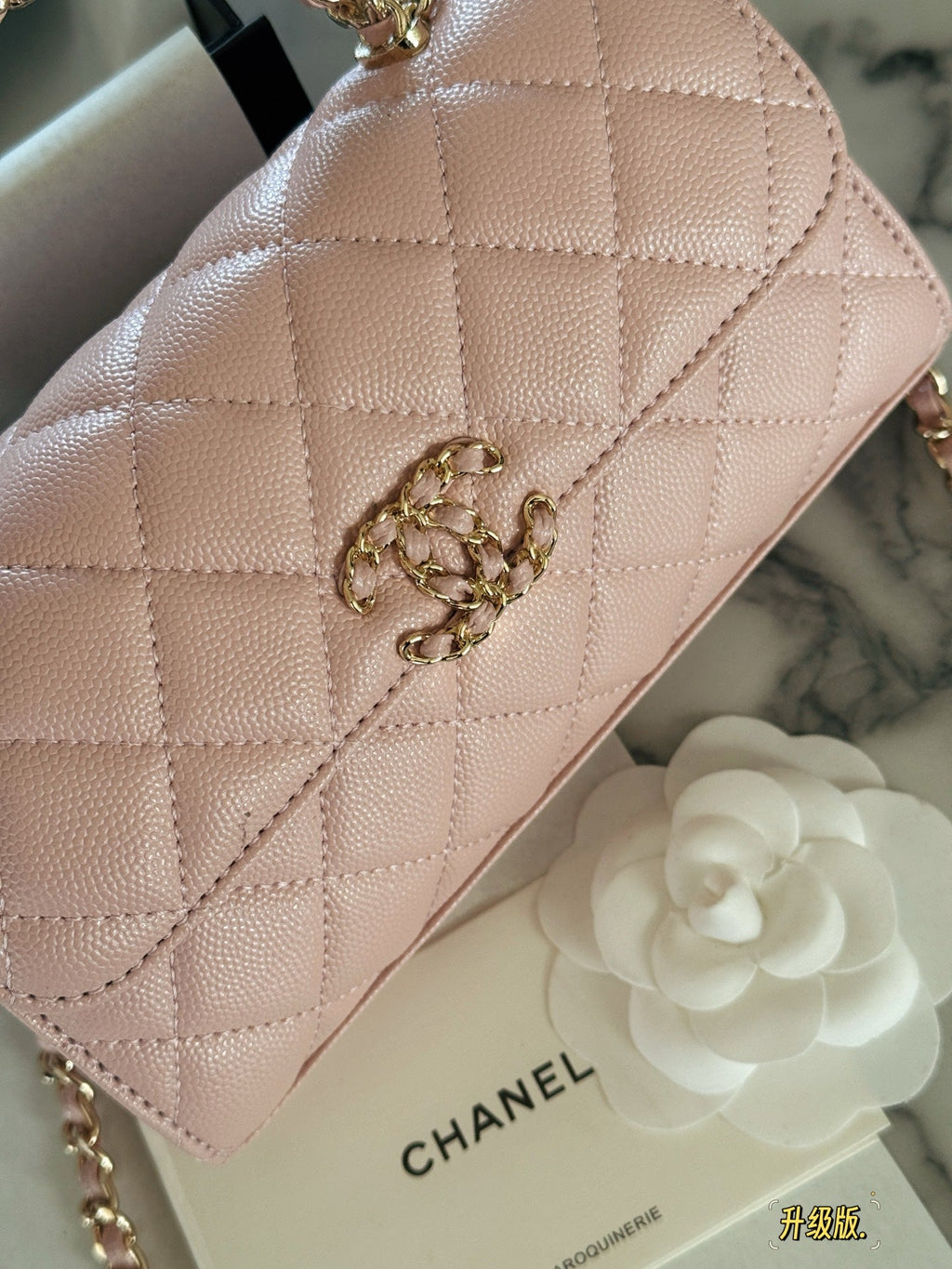 Fashion Bag for Women CEM142