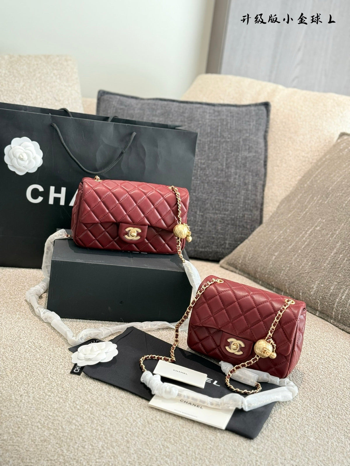 Designer Gold Leather Shoulder Bag for Women 17cm CEM243