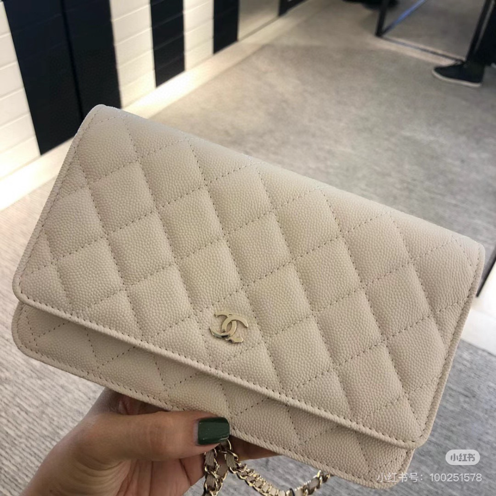 Black/White Handbag for Women 20*13cm CEM288