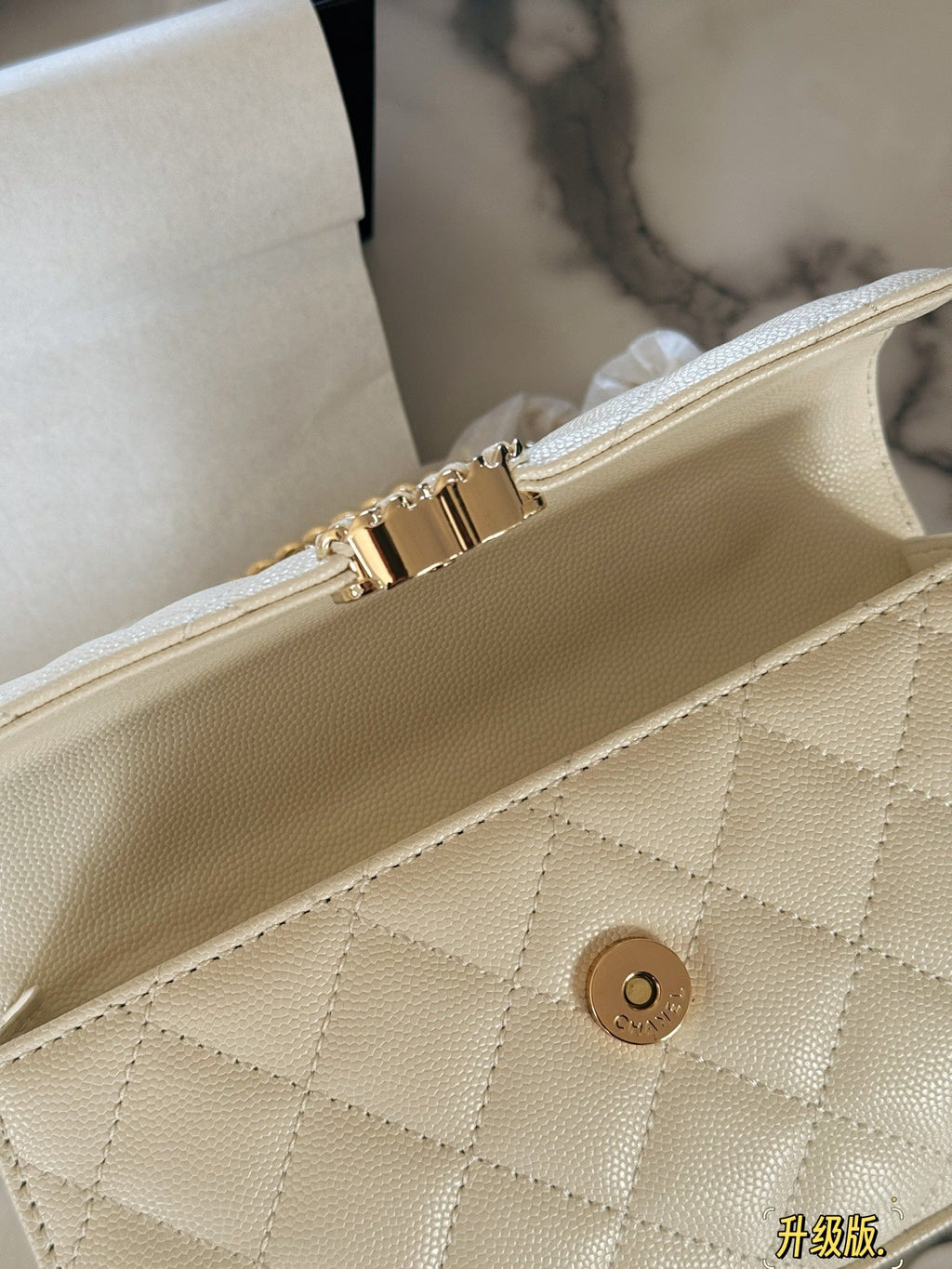 Fashion Bag for Women CEM142