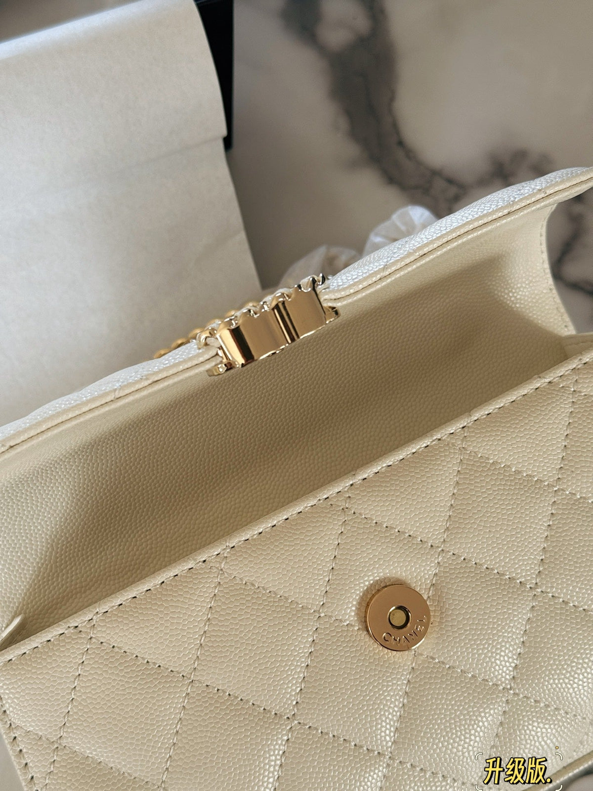 Fashion Bag for Women CEM142