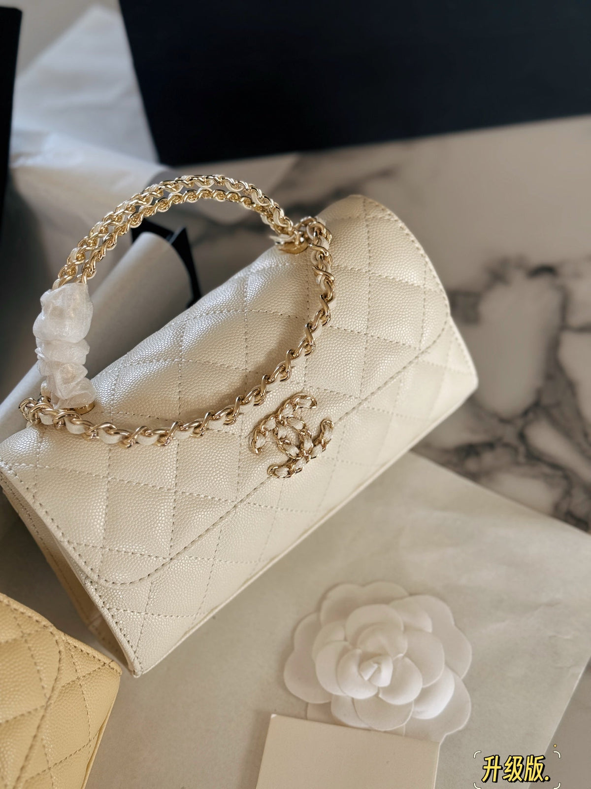 Fashion Bag for Women CEM142