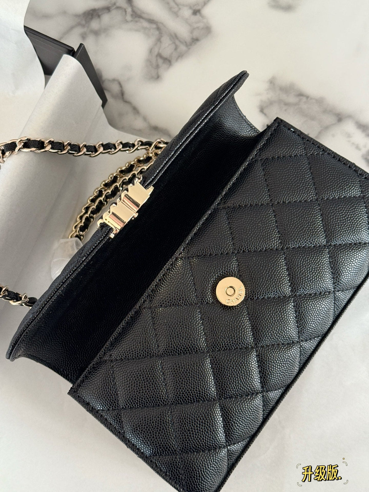 Fashion Bag for Women CEM141
