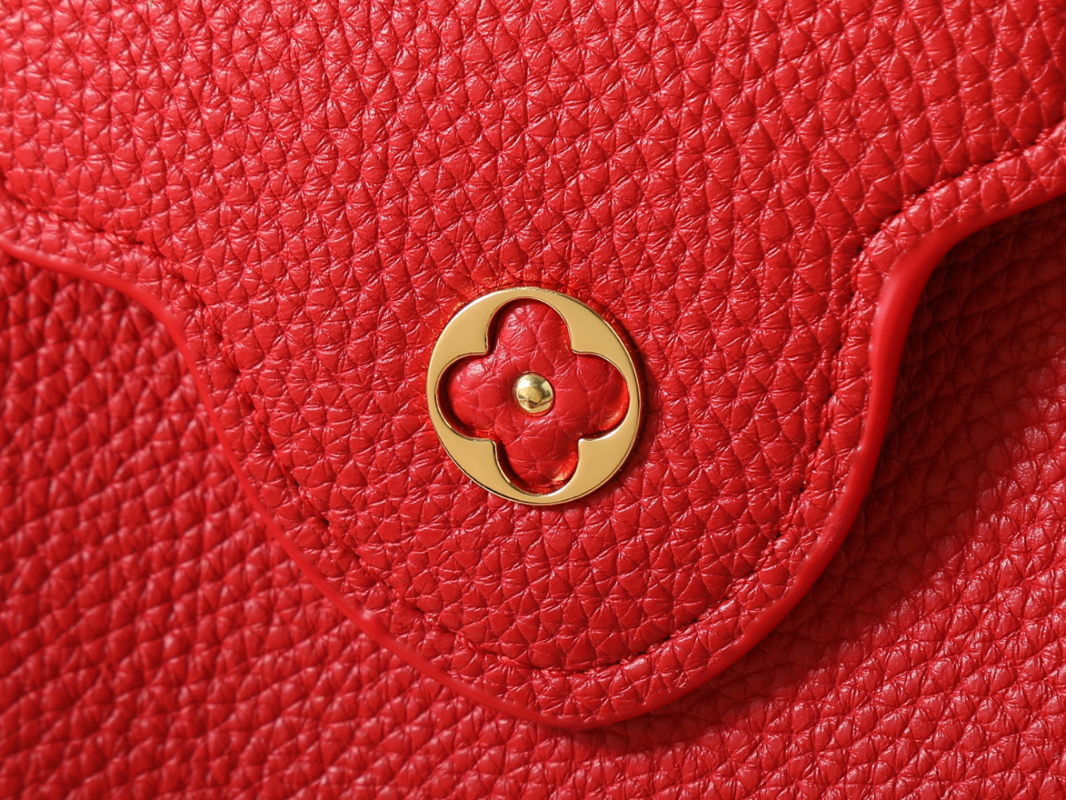 Designer Shoulder Bag for Women 22cm LEM410