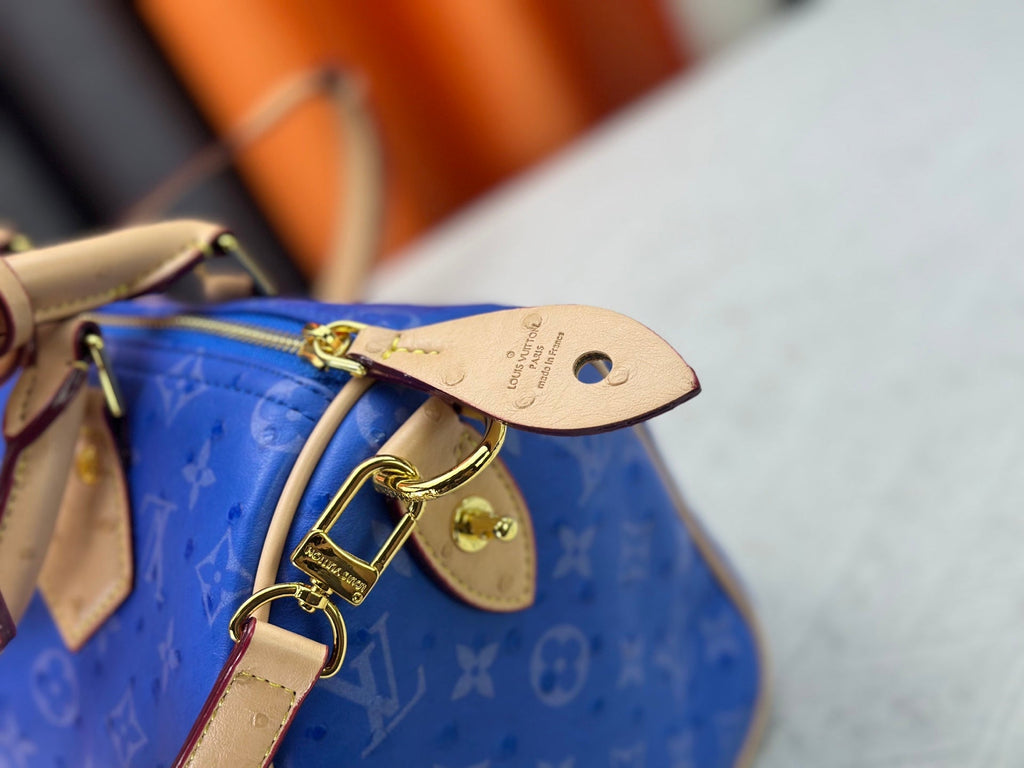 Designer Canvas Crossbody Bag for Women 30x21x17cm LEM289