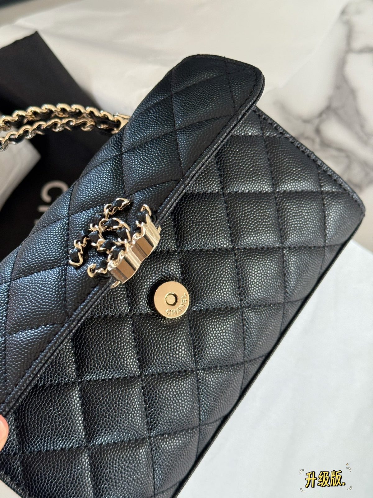 Fashion Bag for Women CEM141