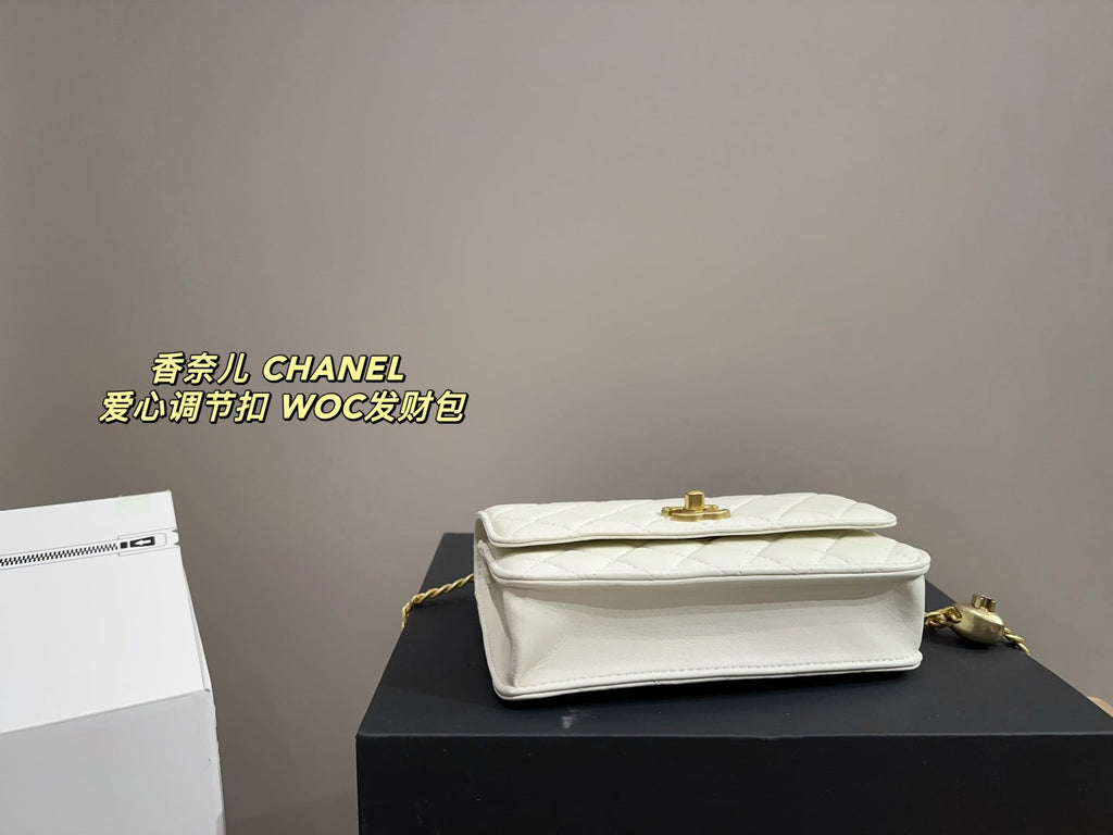Fashion Bag for Women 19*5*12cm CEM52
