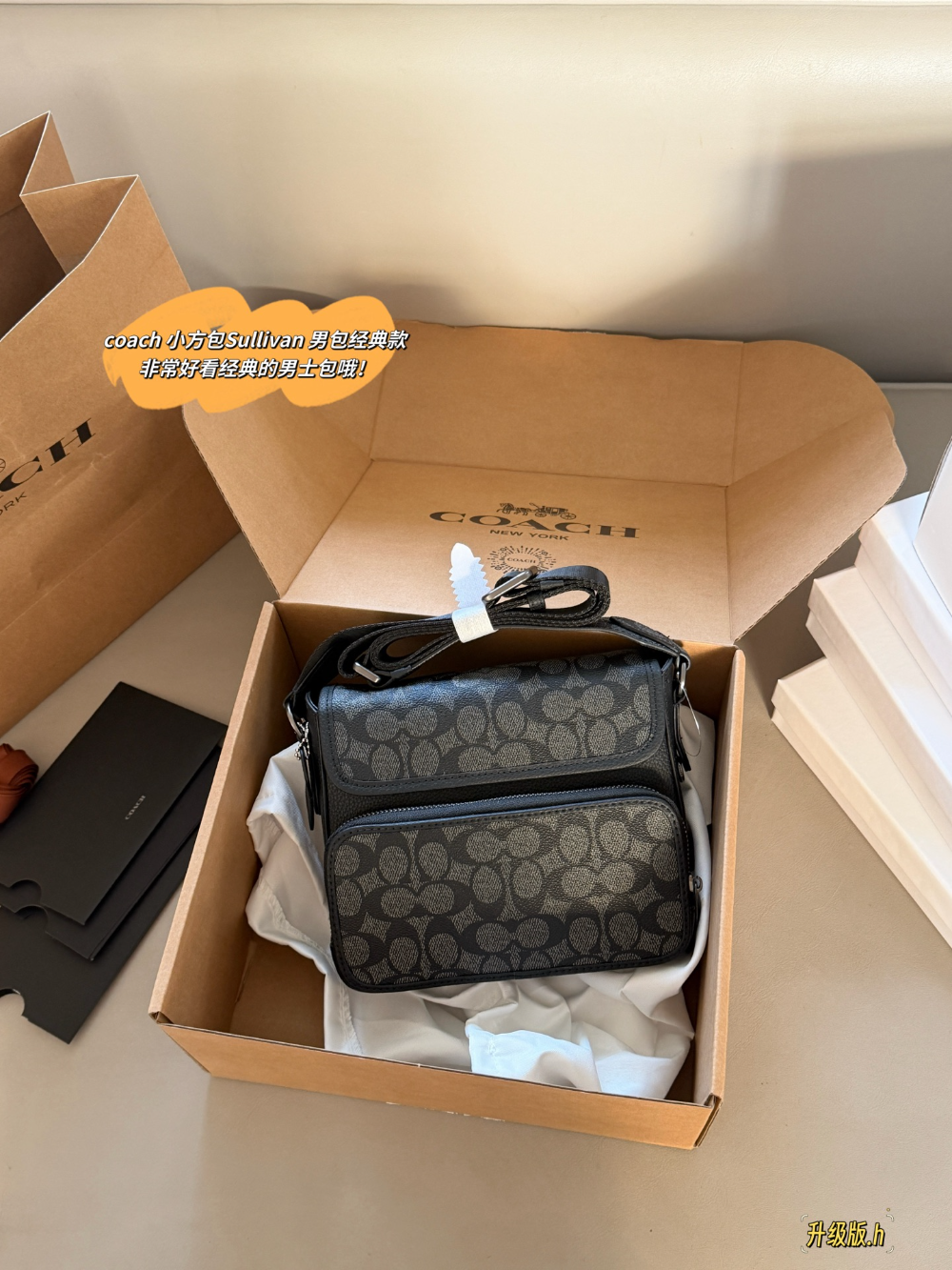Black Bag for Women 20.5*17cm COEM02