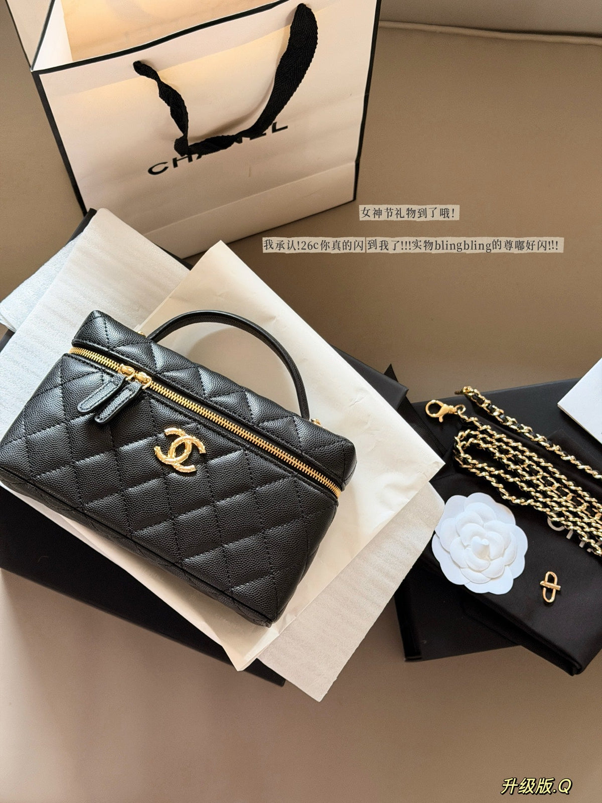 Designer Black/White Handbag for Women 20*12cm CEM245