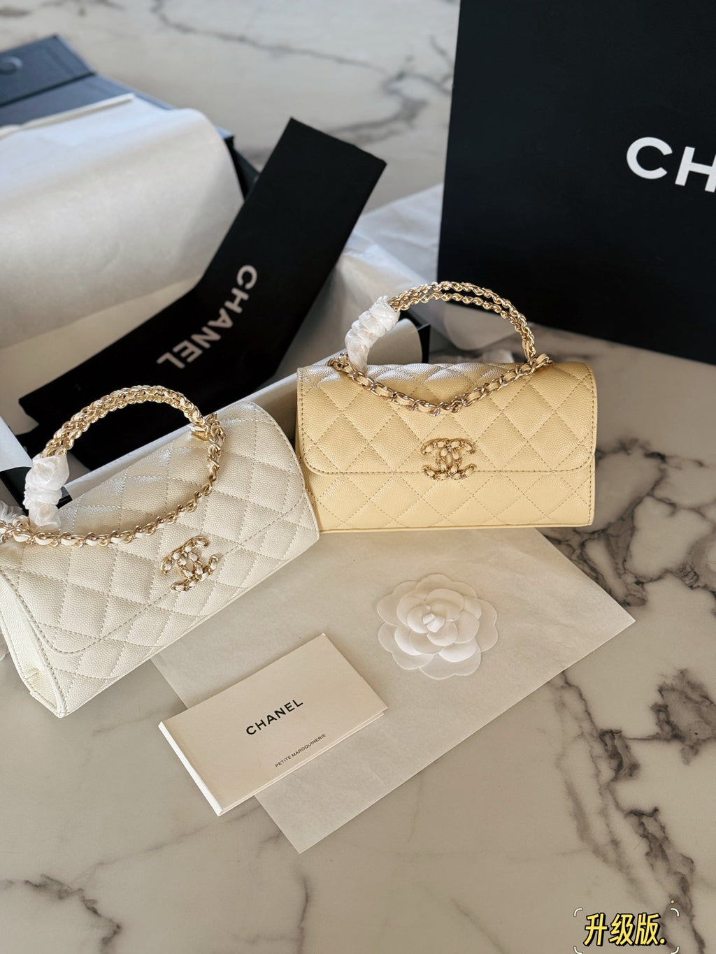 Fashion Bag for Women CEM142