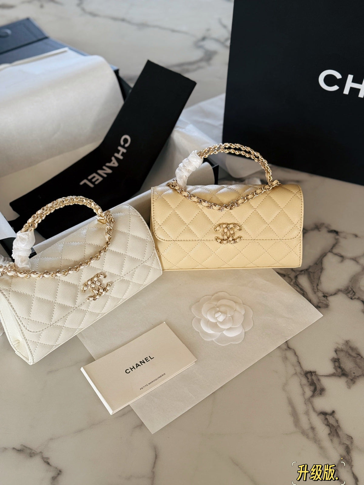Fashion Bag for Women CEM142